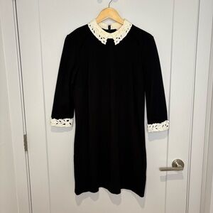Ted Baker Black Dress with Cream Lace Details | Currie Lace Collar Tunic